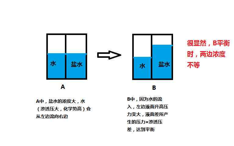 老蓝水与黄水：颜色差异、用途及注意事项，一文解答所有疑问