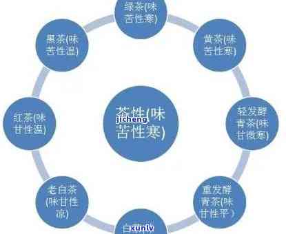 普洱茶：寒性体质的救星？科学研究的观点与建议