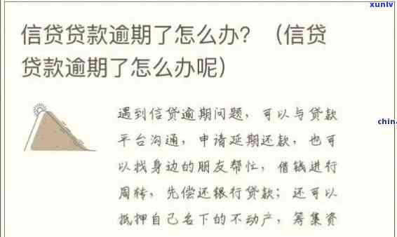 博民快易贷逾期一天：如何迅速处理与解决办法