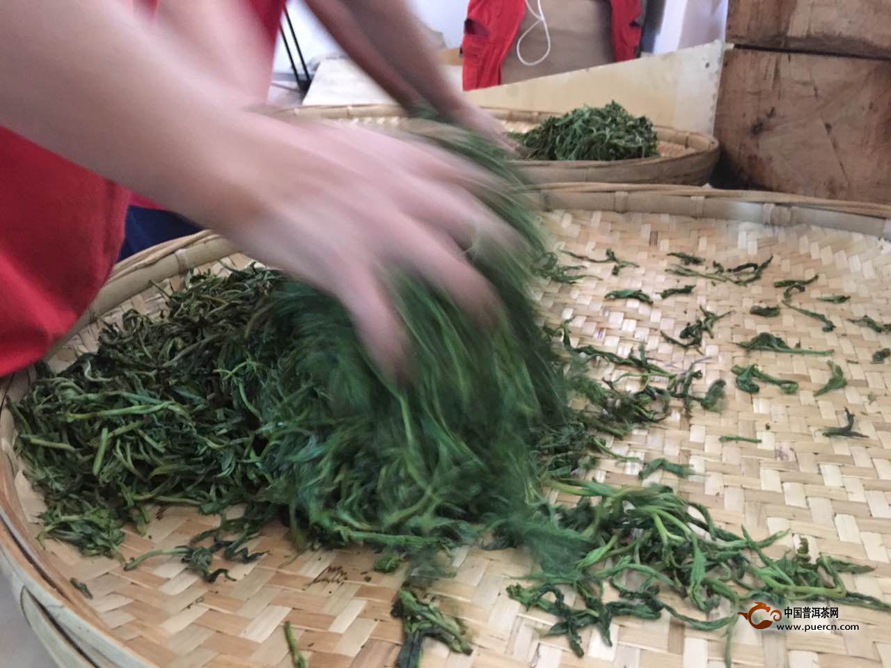 新普洱茶如何加快转化度？