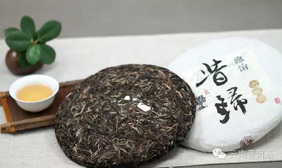 台地茶与鸿普洱茶的别之道：品种、产地与口感对比分析