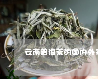 普洱茶与境外茶的区别在哪