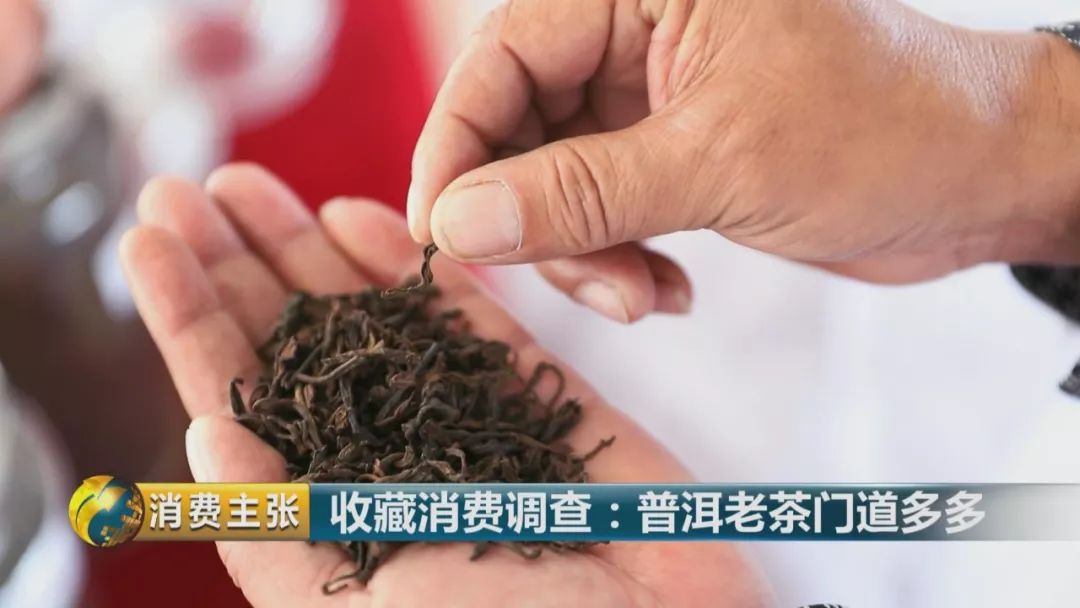 普洱茶最老的台地茶是哪种？请解释台地茶的含义。