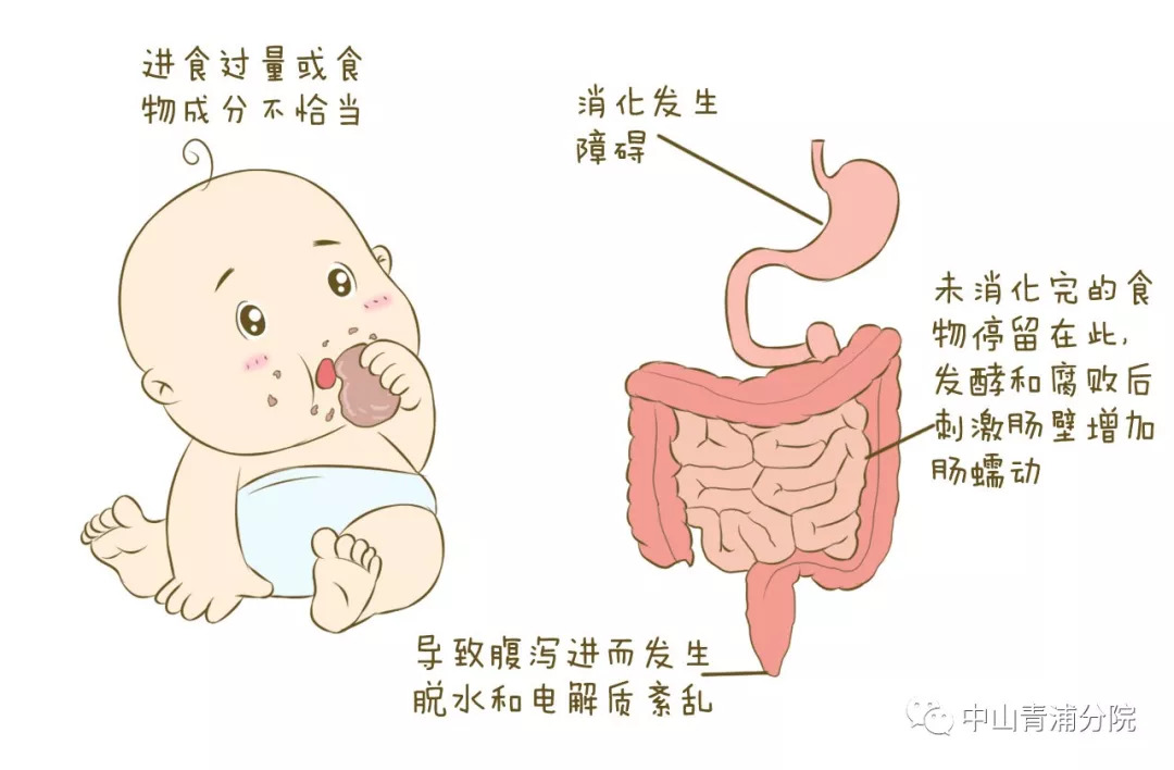 普洱茶舌根发麻的原因分析及其影响因素