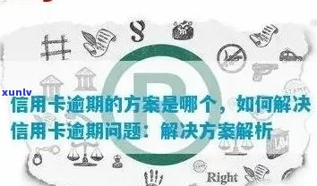 信用卡逾期对企业信用的影响及应对策略：全方位解答与解决您的疑虑