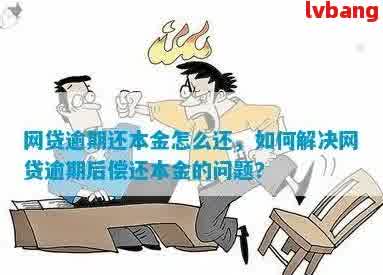 网贷逾期还款策略：一次性还清是否选择？