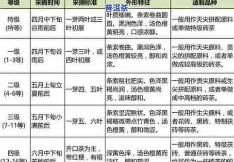 普洱茶生茶级别划分：从原料、工艺到口感的全面解析，助您挑选合适的茶叶