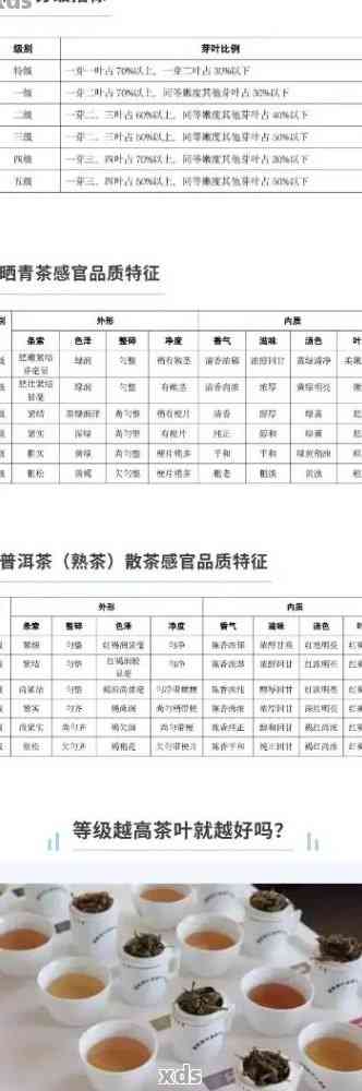 普洱茶生茶级别划分：从原料、工艺到口感的全面解析，助您挑选合适的茶叶