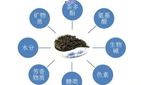 普洱茶中的茶多酚成分及其对人体健的益处解析