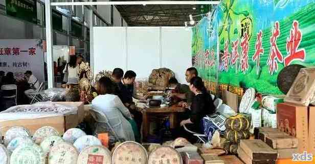 澜沧茶城：探索普洱茶购买地，品尝地道好茶