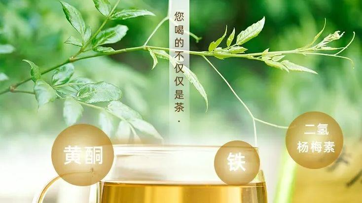 深入探讨：如何辨别莓茶和普洱茶的品质差异，以及它们的饮用效果与副作用