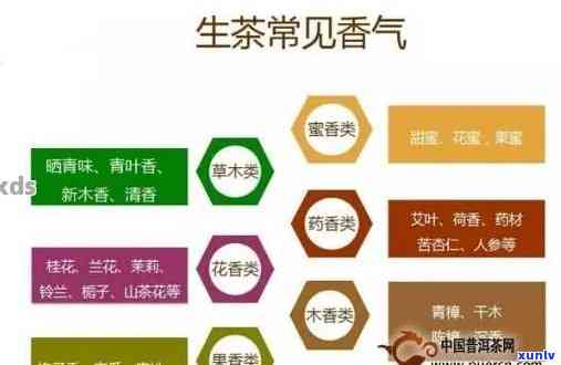 普洱茶的香气成分及其独特魅力：探索各种香气背后的科学与文化