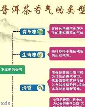 普洱茶的香气成分及其独特魅力：探索各种香气背后的科学与文化