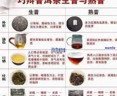 与普洱茶有关的好听的名字大全：探索普洱茶名字的魅力与奥秘