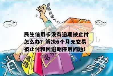 民生信用卡6个月无交易止付怎么办？这个现象的原因及解决办法是什么？