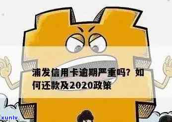 浦发信用卡协商分期还款方案及金额详细了解，解决您的还款困扰