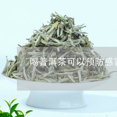 常喝普洱茶预防感冒吗女生