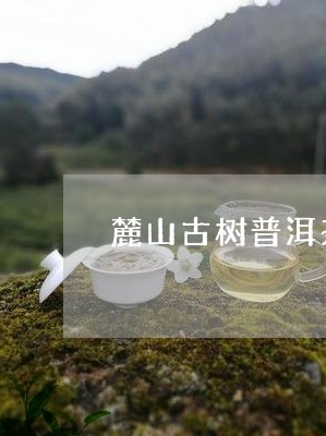 忙麓山大树普洱茶价格查询官网