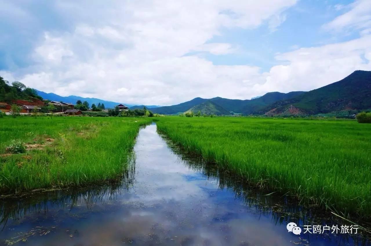 '200块钱的翡翠有水路纹吗真的值钱吗？ - 这个价格区间有这样的翡翠吗？'