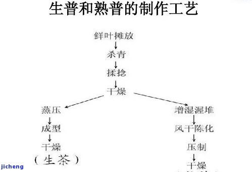 探究普洱茶无菌发酵的全过程及其科学原理：从原料选择到制作工艺的全面解析