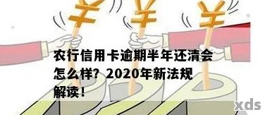 2020年农行信用卡逾期新法规解读：重点内容与变化详解