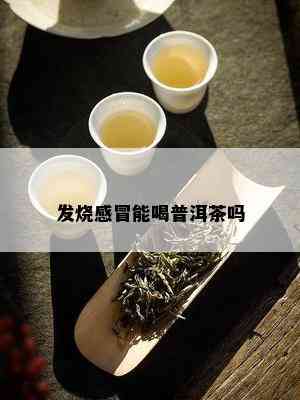 经期女性可以喝普洱茶吗？探讨普洱茶对经期的影响及其适用性