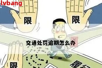 逾期3万元一年，罚款及相关费用详细解析，助您了解逾期后果