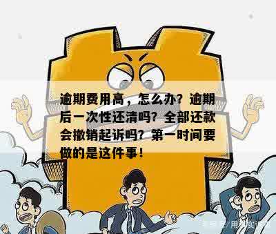 逾期还款一次性清偿：条件、要求与后果