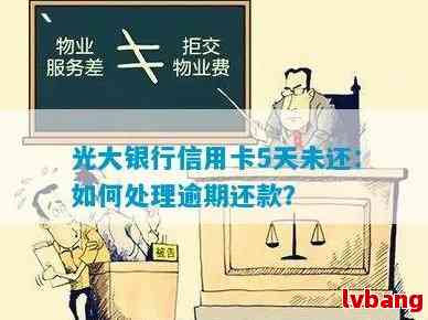 光大银行信用卡债务问题全面解析：为什么无力偿还？如何解决？