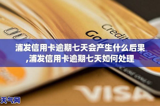 浦发信用卡逾期七天后的后果及解决方法全解析