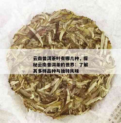 普洱茶与云南其他茶叶品种的区别：哪种茶叶是经过普洱茶种植的？