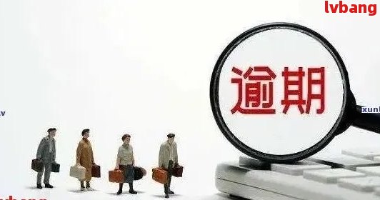 外人士逾期滞留政策解析与应对措