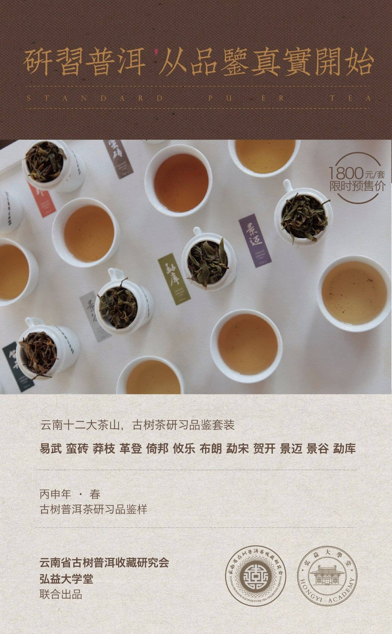 '普洱茶组合套餐：、产品与推荐'