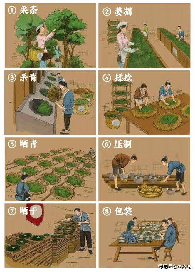 传统普洱茶制作工艺全解析：流程、步骤、特点一应俱全