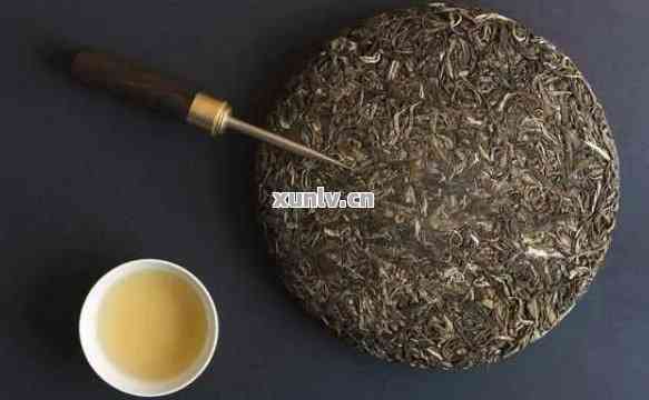 广州十大高端普洱茶全解析：品质与口碑并存的理想选择