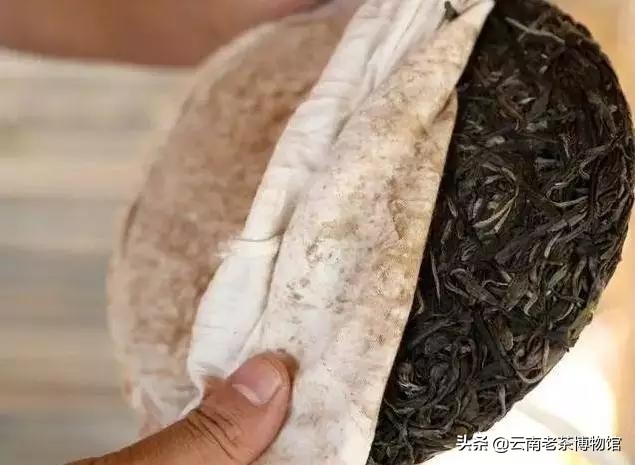 普洱茶饼设计理念：200克的完美融合与传承