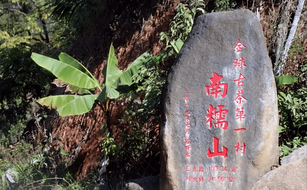 曼弄老寨普洱茶品质：探究古寨的魅力与普洱茶的精髓