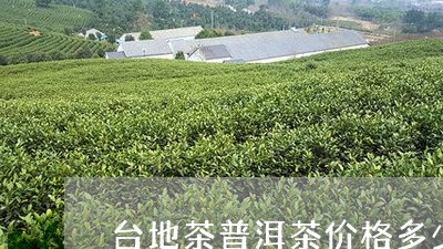 张家     地普洱茶价格多少