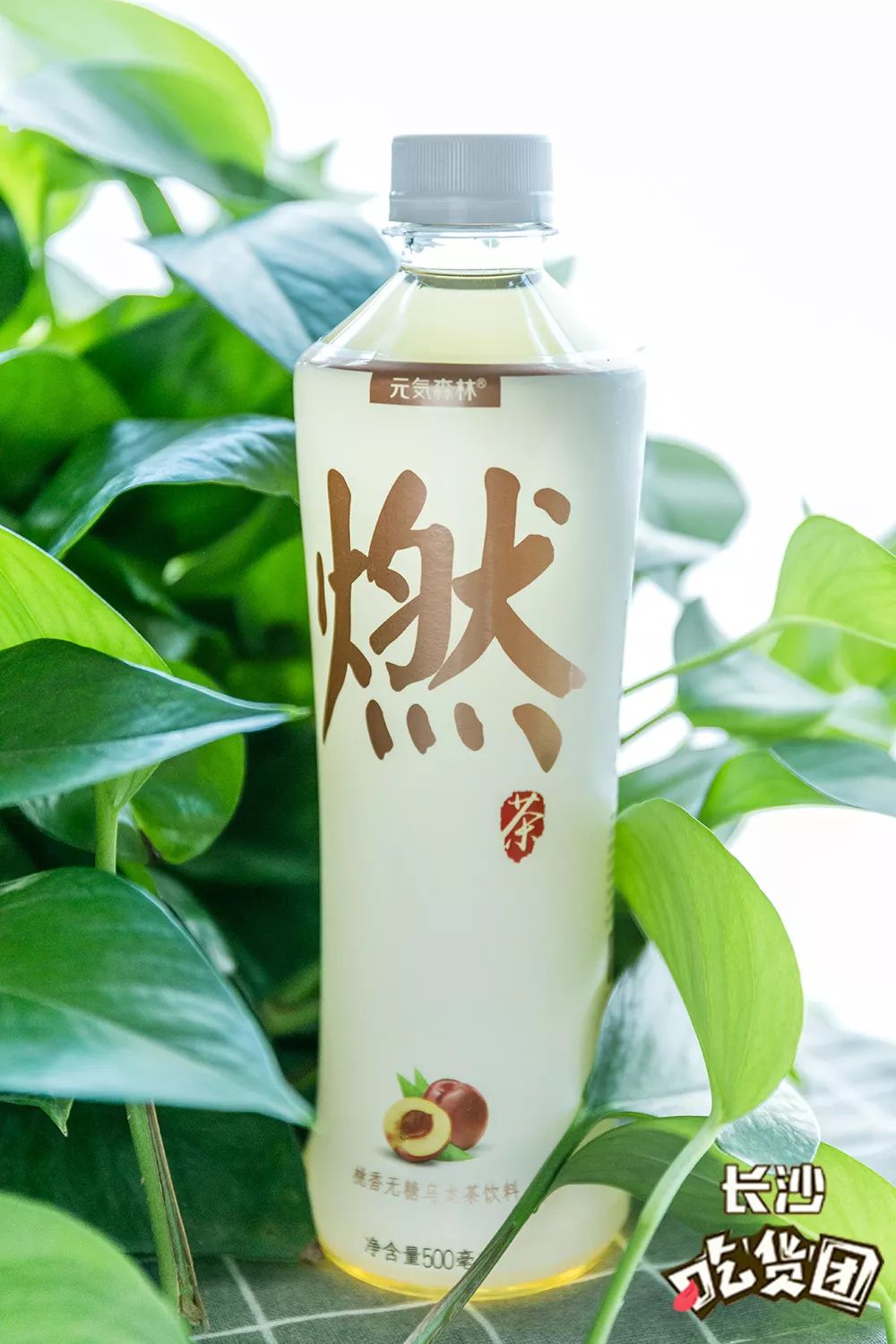 普洱茶冰糖：清甜可口的茶与糖的完美融合