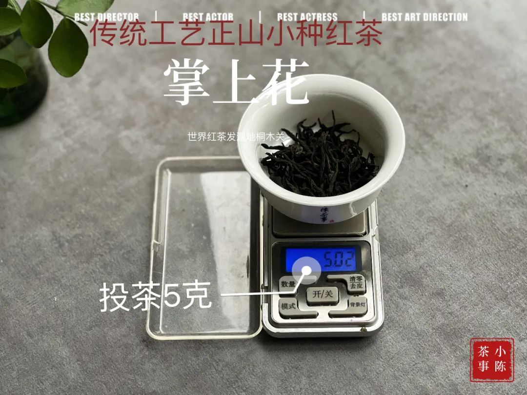 普洱茶与绿茶混合饮用的适宜性及女性饮用安全性分析