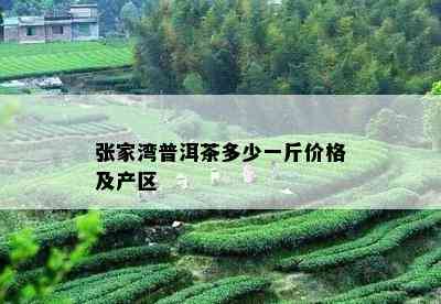 新 张家     地普洱茶官网价格指南 - 优质茶叶选购与投资攻略