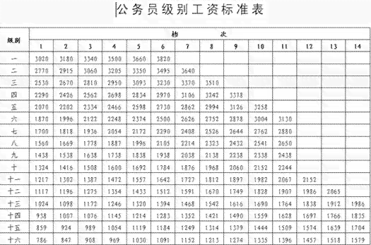 新贵妃56尺寸详细信息与对照表，如何选择合适的尺寸？