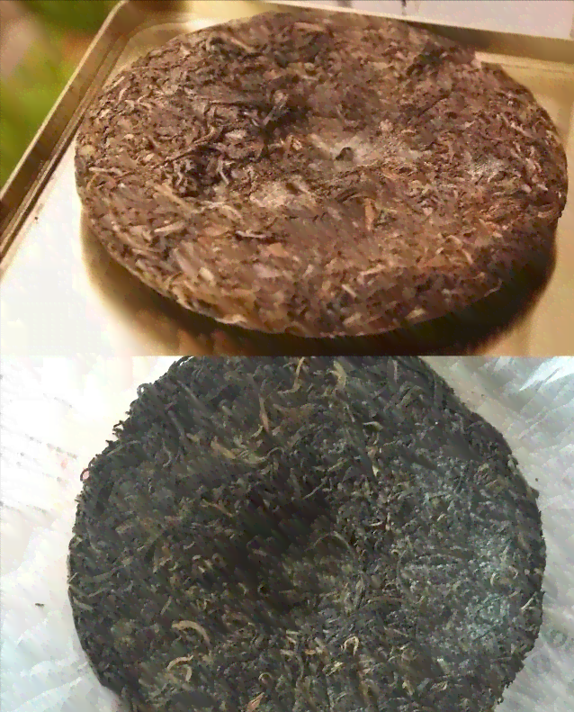 怎么区别普洱茶发霉了没有