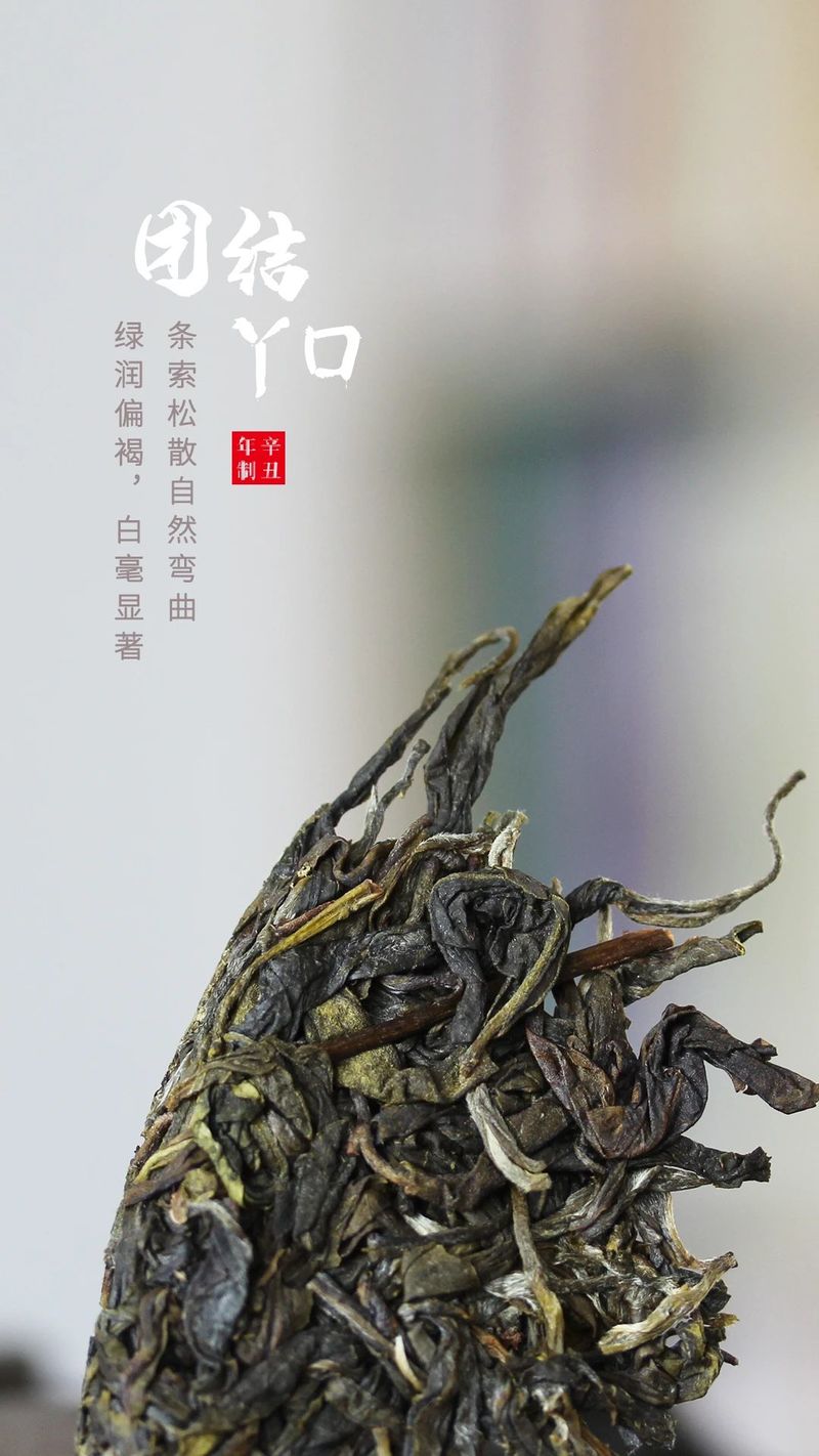 云南团结丫口普洱茶的特点