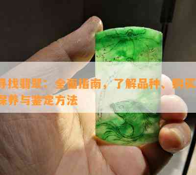 从珊瑚与翡翠品种中寻找更佳投资选择：专业指南与实用建议