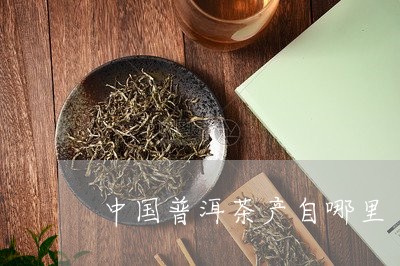 中产普洱茶在哪里生产的好