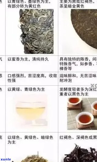 普洱茶饼：品名选择与命名建议，助您轻松定位优质茶叶