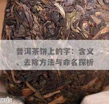 普洱茶饼命名全解析：探索各种名字背后的故事与特点