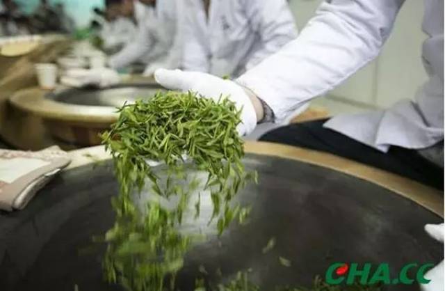 新未加工的普洱茶能制作成类似龙井绿茶的味道吗？为什么？