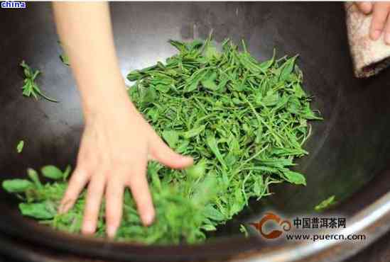 新未加工的普洱茶能制作成类似龙井绿茶的味道吗？为什么？